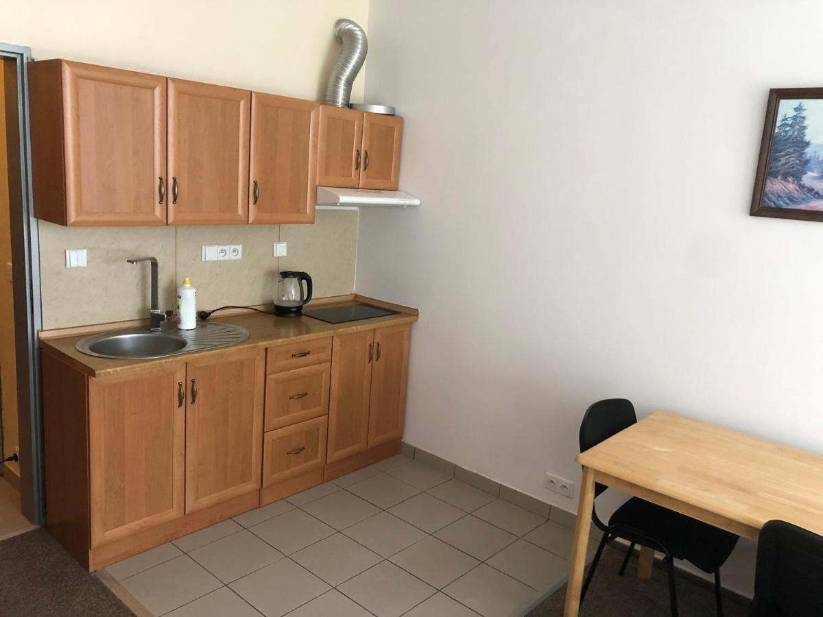 Apartment Certovka Harrachov Bagian luar foto